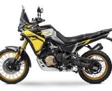 Valico 800 Rally E5+
